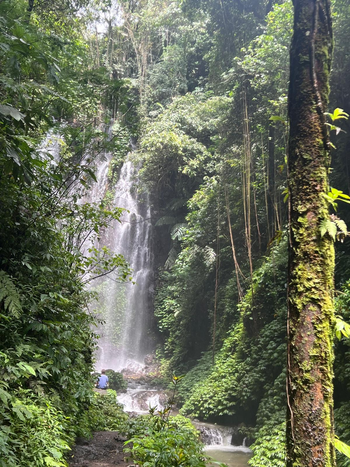 Voyage à Bali 2025