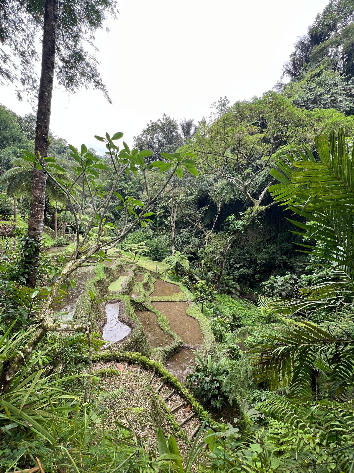 Voyage à Bali 2025